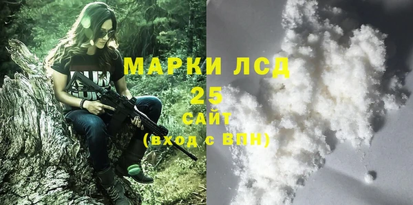 хмурый Ладушкин