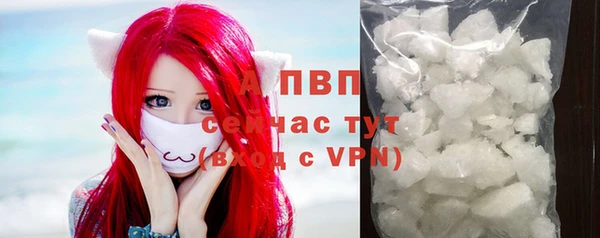ГАЛЛЮЦИНОГЕННЫЕ ГРИБЫ Лабытнанги