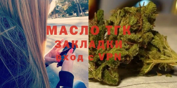 прущие грибы Долгопрудный
