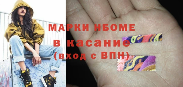 прущие грибы Долгопрудный