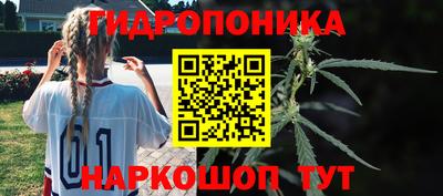 ECSTASY Бийск