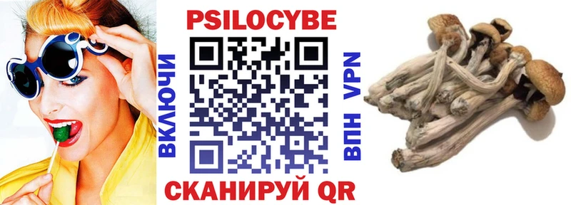 kraken ССЫЛКА  Махачкала  Псилоцибиновые грибы GOLDEN TEACHER 