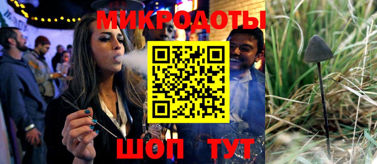 Галлюциногенные грибы Magic Shrooms  Вход с VPN  Галлюциногенные грибы Cubensis  Махачкала 