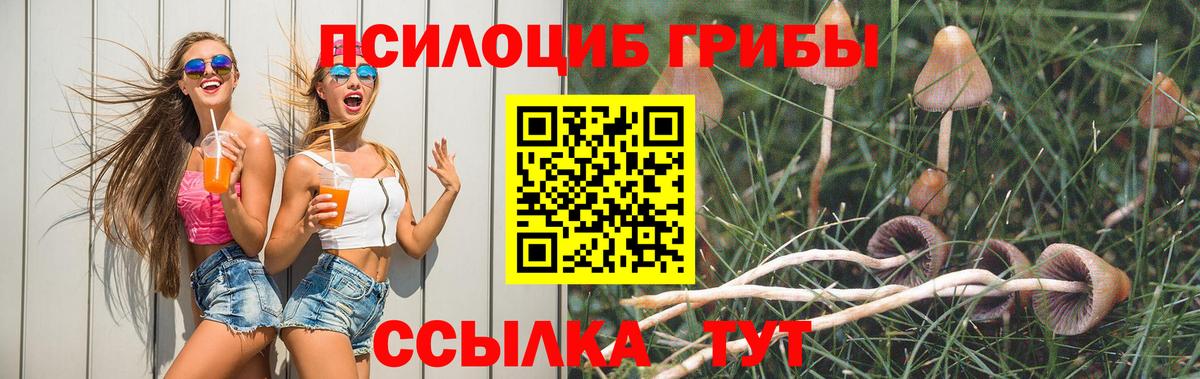 Псилоцибиновые грибы прущие грибы  Псилоцибиновые грибы мухоморы  Махачкала 