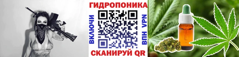 Марихуана гибрид  кракен маркетплейс  Махачкала 