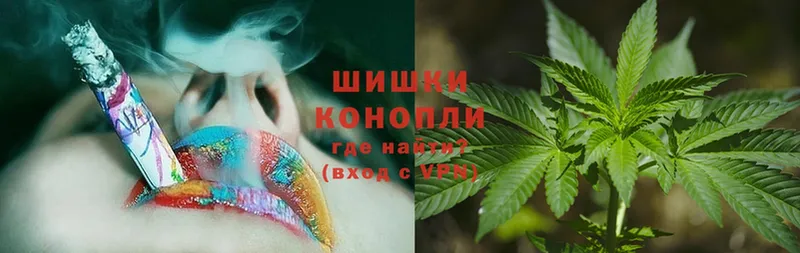 где купить наркоту  Махачкала  OMG маркетплейс  Конопля Ganja 